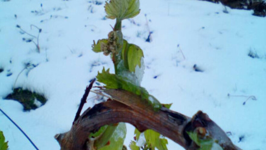 Elementarne nepogode diljem Hrvatske