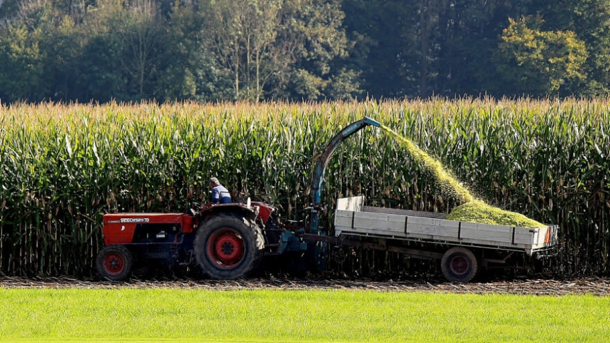 Izvoz veći za gotovo 12 odsto