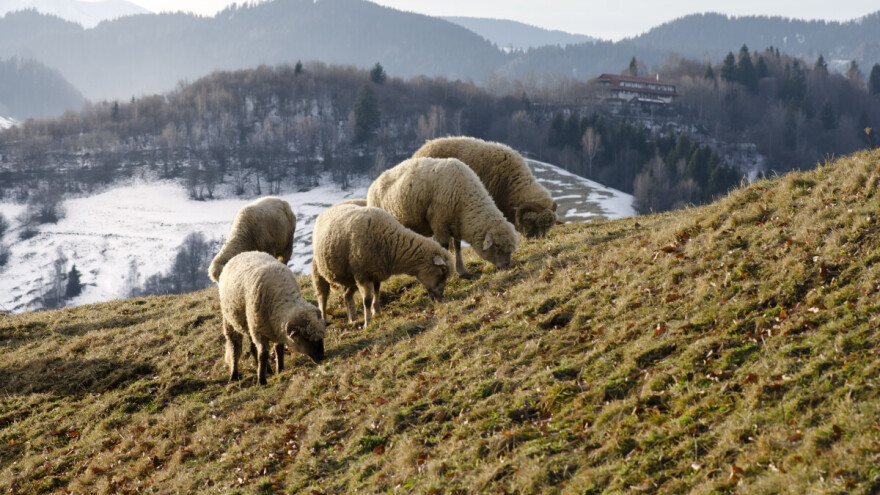 Stižu nove padavine, evo i kada