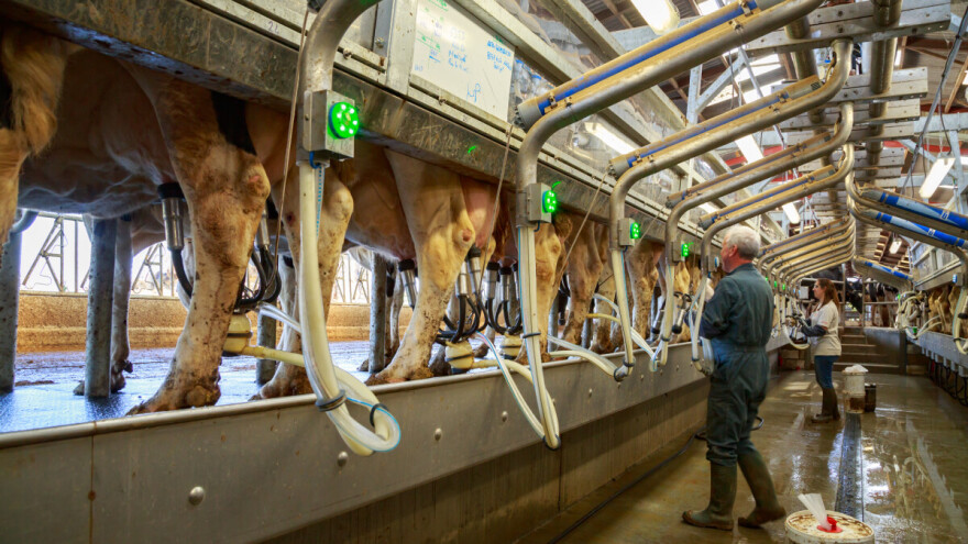 Francuski Lactalis i dalje najveća svetska mlekarska kompanija