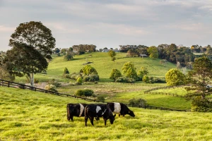 U Australiji na prodaju ranč koji se prostire na čak 727.700 hektara
