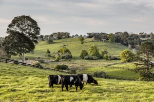 U Australiji se prodaje ranč koji je veći od pola poljoprivrednih površina Hrvatske