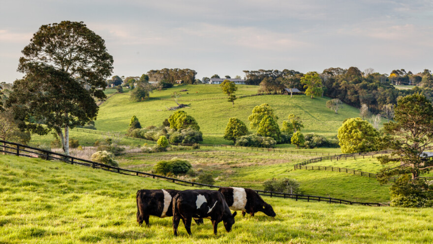 U Australiji se prodaje ranč koji je veći od pola poljoprivrednih površina Hrvatske