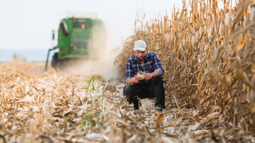 Objavljene inicijalne rang liste za intervenciju 73.12. Potpora malim poljoprivrednicima