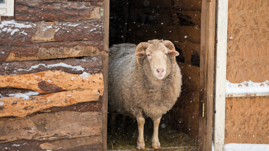 Kiša pada, mećava se sprema, teško onom ko u kući nema