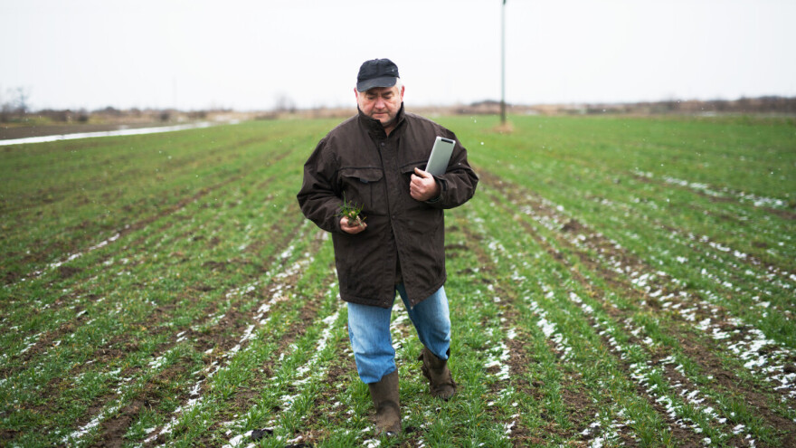 Zima ne svira kraj: Stiže osjetno zahlađenje i jači mraz