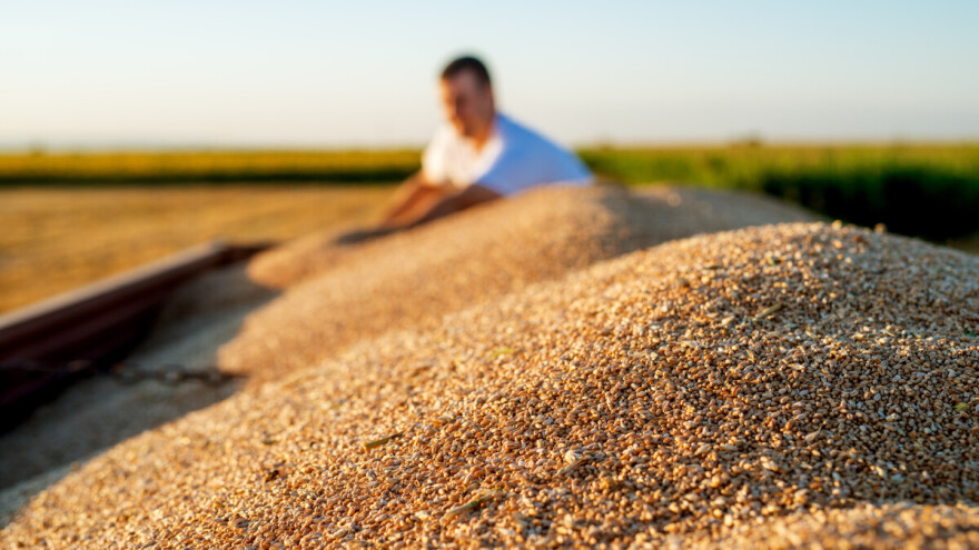 Glamočić: "Nema mesta za brigu, imamo dovoljne rezerve hrane"