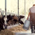 Pada potražnja za eko mlekom - stočari se vraćaju konvencionalnoj proizvodnji?