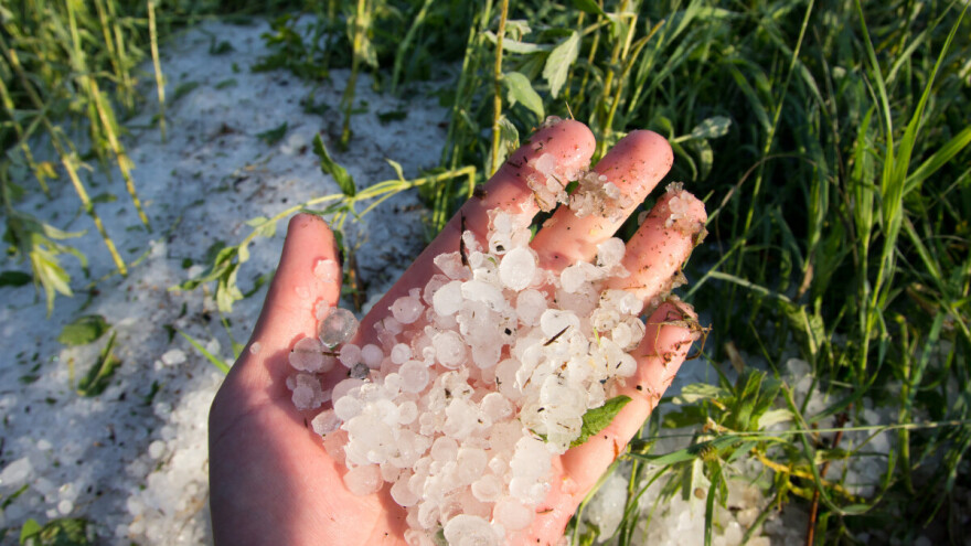 Objavljen Pravilnik o isplati potpora za štete od prirodnih nepogoda u 2024.