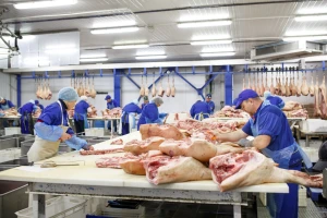 Evropski izvoznici svinjetine profitiraju u trgovinskom sukobu SAD-a i Kine?