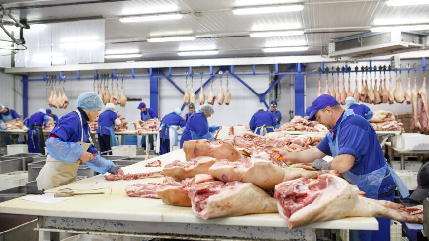 Evropski izvoznici svinjetine profitiraju u trgovinskom sukobu SAD-a i Kine?