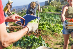 Prijavite plan proizvodnje ako planirate primiti novčanu podršku u narednoj godini!