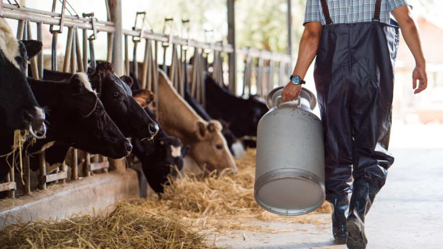 Isplaćena premija za mlijeko