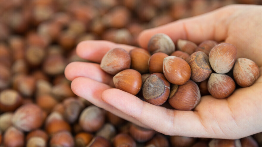 Zdrava grickalica koja simbolizira izobilje, dobro zdravlje i plodnost