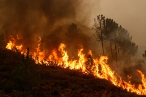 Evropa bilježi rekordne emisije ugljen dioksida iz šumskih požara