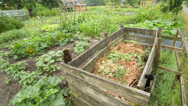 Jesenji kompost: Šta (ne) sme u gomilu kad lišće požuti? Text image