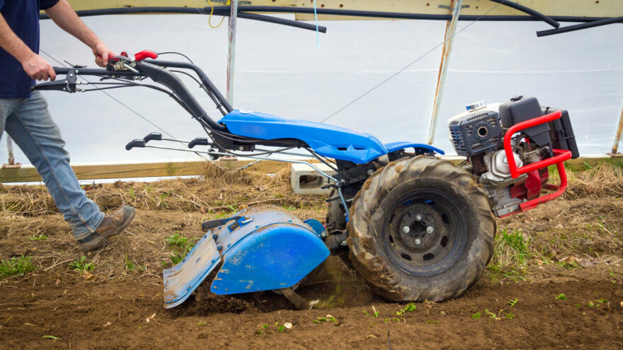 Osnovne mjere u plasteniku prije novog proizvodnog ciklusa