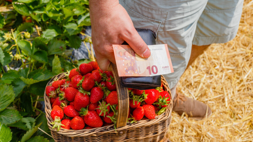 Isplaćeno više od 28 milijuna eura potpore za ekološki uzgoj