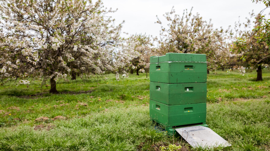 Izrađuju se plakati sa uputstvima za pravilno tretiranje voćnjaka i zaštitu pčela