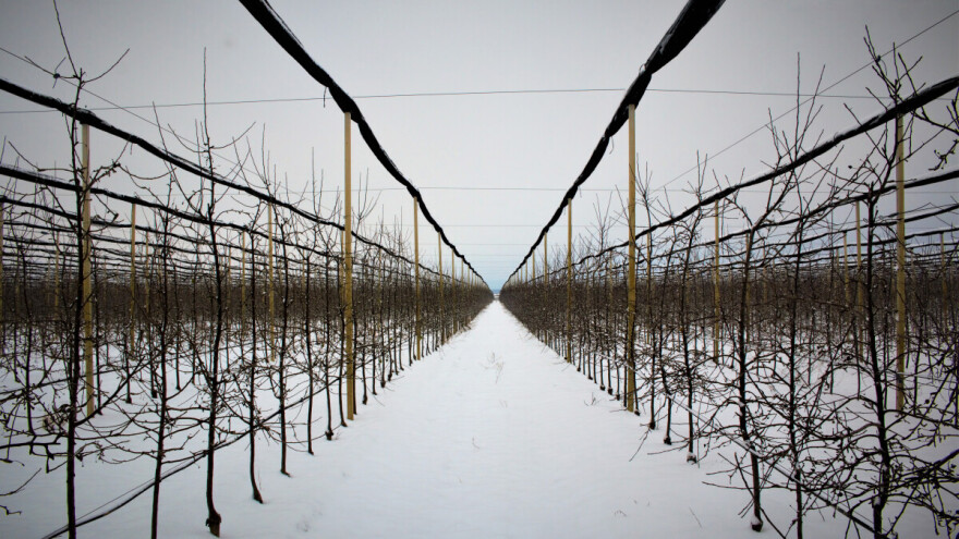 Objavljen poziv za osiguranje useva i životinja