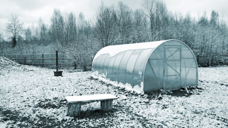 Prednosti grejanja plastenika u zimskom uzgoju - ima li smisla?