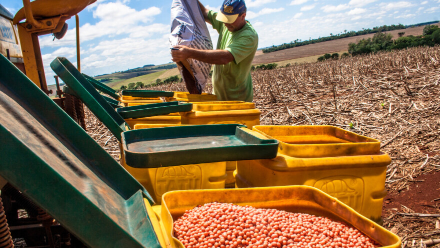 Ne čekajte kišu: Ko zakasni sa sjetvom, soja mu ne prašta