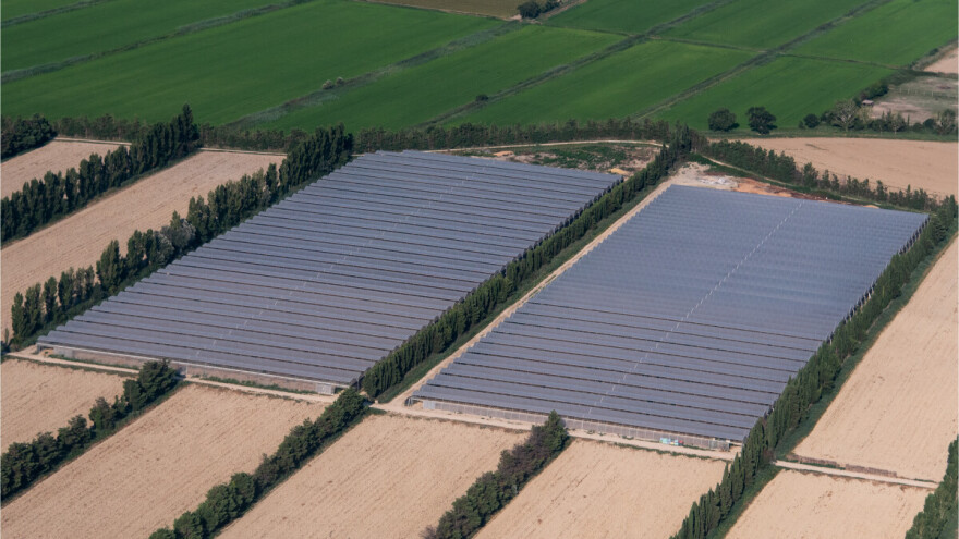 Globalni fenomen: Pod staklenicima više od milion hektara - jedna zemlja daleko prednjači