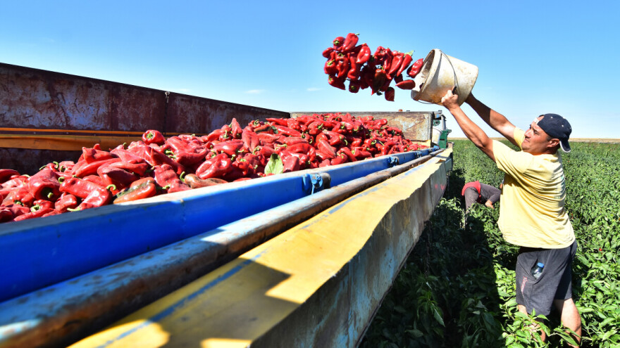 10 pitanja koja će vam pomoći odabrati rješenje za fiskalizaciju OPG-a