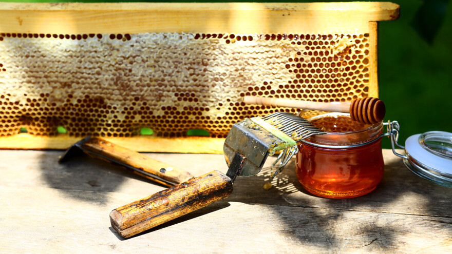 Patvorenje meda ozbiljan problem u BiH: Višegradski pčelari će svoj zaštititi