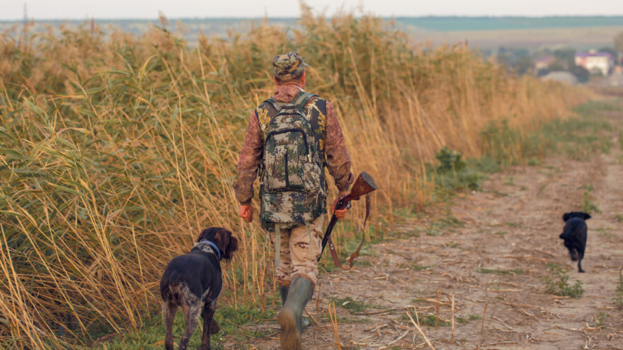 Otvoren konkurs: Izdvojeno 138,8 miliona dinara za subvencije u lovstvu