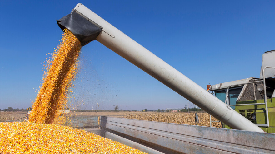 Izveštaj američkog ministarstva poljoprivrede srušio cene žitarica