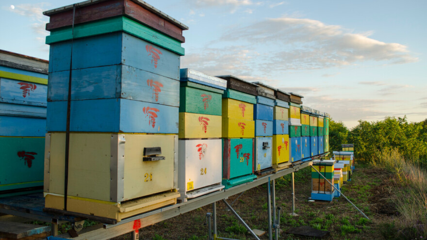 Pčelari, zaštitite košnice - krenuo hemijski voz za uništavanje vegetacije duž pruga