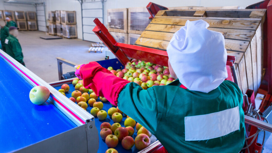 Uskoro rješenja o premiji za voće u Republici Srpskoj: Otkrivamo moguće iznose