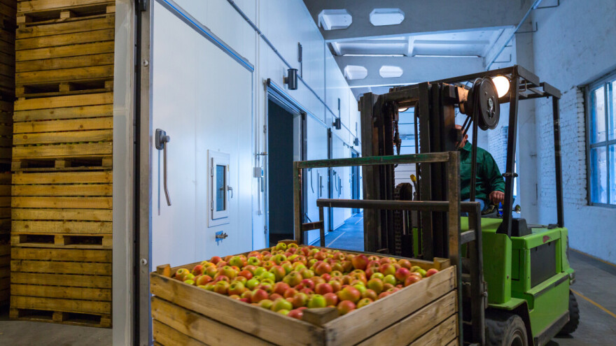 Gdje sa jabukama ove godine: Rod odličan, hoće li plodovi izdržati u hladnjačama?
