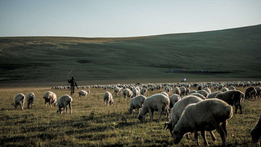 Stotinu Grka pred sudom, u Rumuniji za prijevare u poljoprivredi osumnjičen i prvi čovjek Temišvara