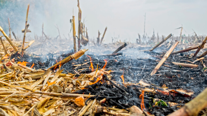 Spaljivanje žetvenih ostataka je zakonom zabranjeno, kazne nisu male!