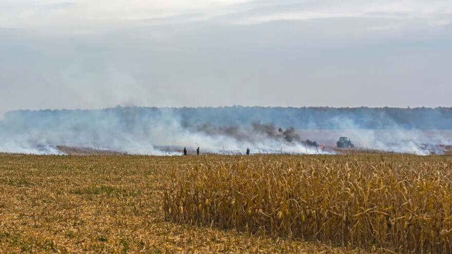 Muškarac stradao na njivi: Palio nisko rastinje, vatra zahvatila i kukuruz