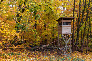 Krivolovac se zabarikadirao na visokoj čeki: Odbio da siđe dok nije stigla policija