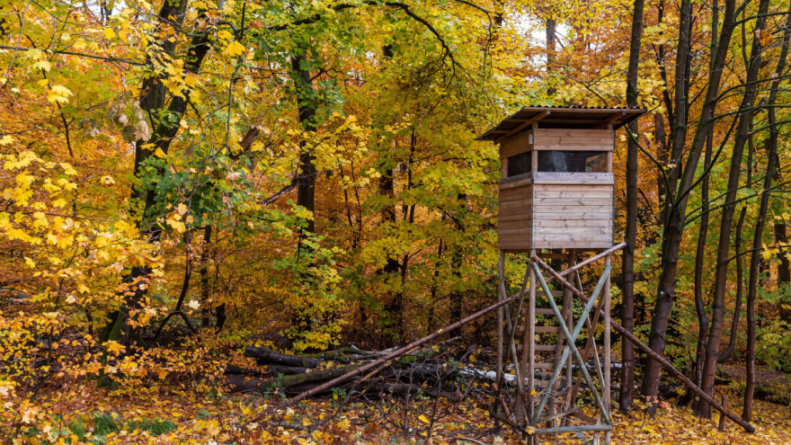 Krivolovac se zabarikadirao na visokoj čeki: Odbio da siđe dok nije stigla policija