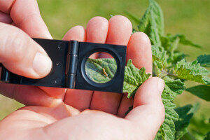 Pokrenuta 3. kampanja #PlantHealth4Life: Koja je vaša uloga u očuvanju biljnog svijeta?