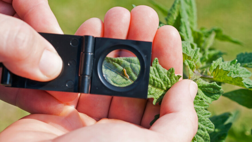 Pokrenuta 3. kampanja #PlantHealth4Life: Koja je vaša uloga u očuvanju biljnog svijeta?