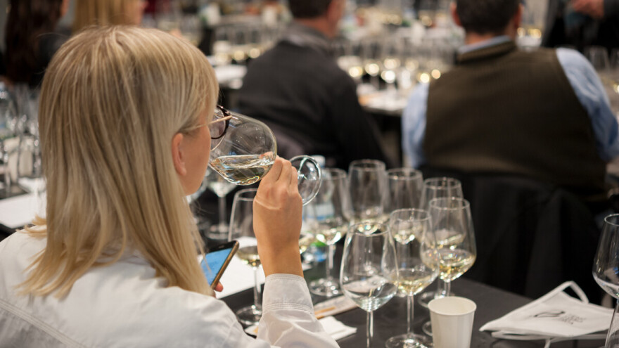 Prvi put u BiH: Masterclass posvećen vinima od autohtonih sorti