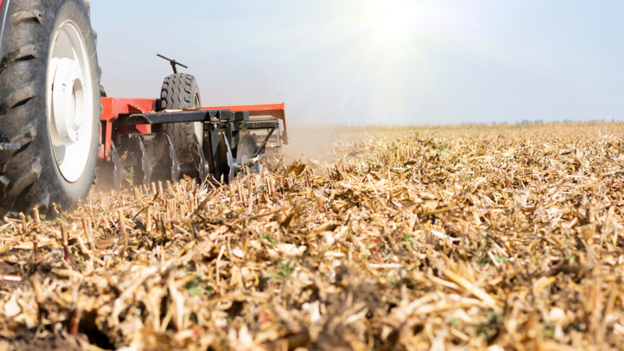 Kako domaća poljoprivreda može bolje iskoristiti svoje osnovne resurse?