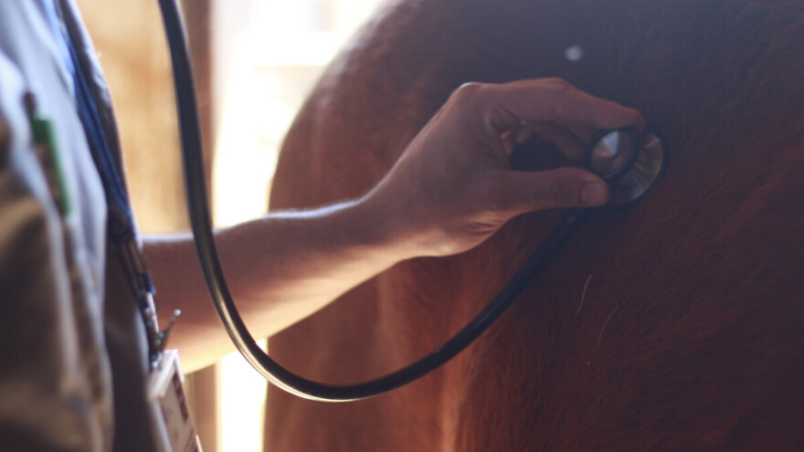 Veterinari iz Južnobačkog okruga se pridružuju generalnom štrajku 7. marta