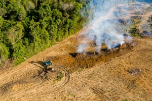 Deforestacija Amazone bilježi dramatičan skok u 2025.