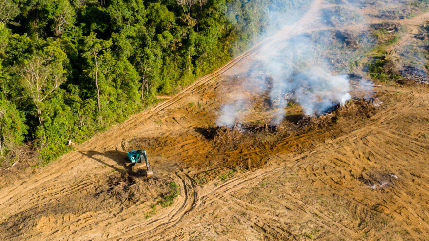 Deforestacija Amazone bilježi dramatičan skok u 2025.