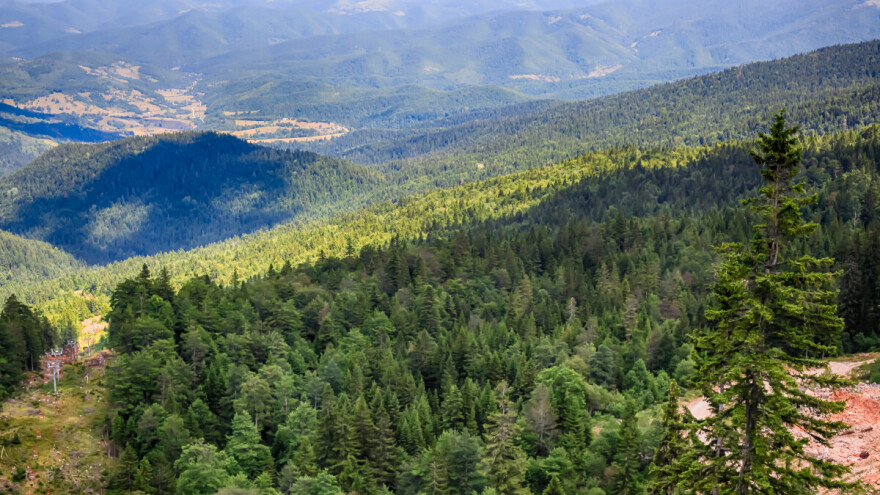 Ustavni sud BiH poništio odluke vlada FBiH i RS o promjeni namjene šumskog zemljišta