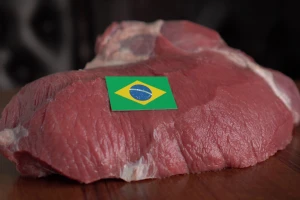 Korištenje hormona i antibiotika u Brazilu opet otvara pitanje Mercosura