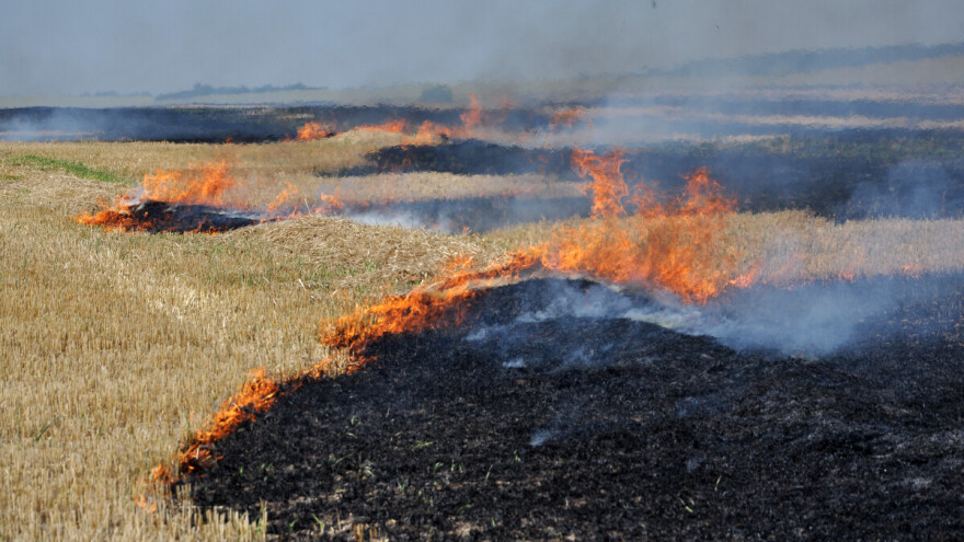 Poljoprivredno gazdinstvo može biti kažnjeno i gubitkom aktivnog statusa zbog paljenja žetvenih ostataka