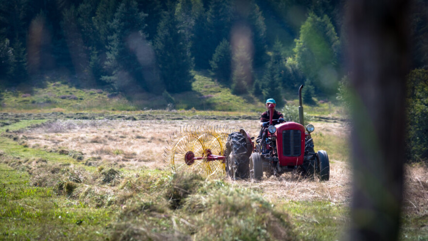 Nova prilika za 10.000 eura potpore, provjerite živite li na prihvatljivom području